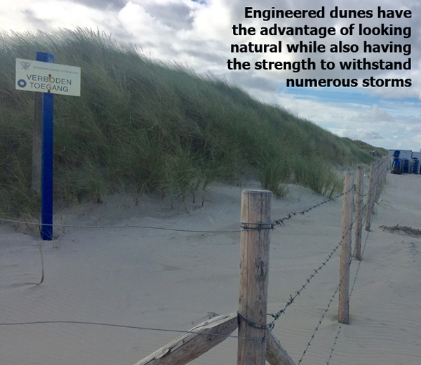 Sand Dunes in the Netherlands